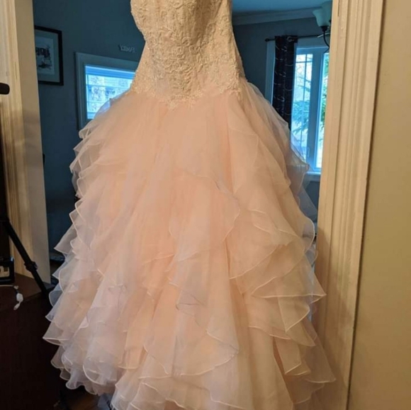 Oleg Cassini wedding dress in blush: Style 8CWG568 - Picture 7 of 8